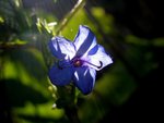 DSCN0166