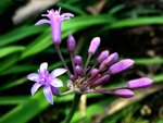 DSCN0174