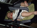 IMGP0762