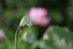 IMG_3371