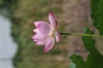 IMG_3377
