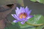 IMG_3395