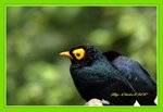 DSC_0130_adjusted