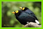DSC_0138_adjusted