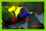 DSC_0150_adjusted