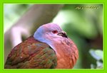 DSC_0165_adjusted