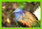 DSC_0190_adjusted