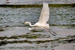 DSC_0237_J-adjusted