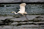DSC_0238_J_adjusted