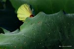 _DSC1642_adjusted