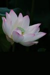 _DSC2328_adjusted