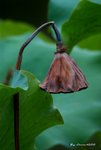 _DSC2523_adjusted