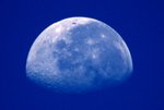 _DSC2546_adjusted