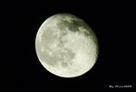_DSC2999_adjusted