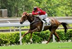 _DSC0024_J_adjusted