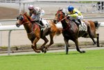 _DSC0131_J_adjusted