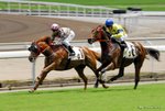 _DSC0132_J_adjusted