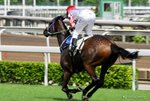 _DSC0184_J_adjusted