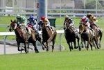 _DSC0311_J_adjusted