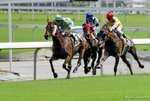 _DSC0313_J_adjusted