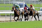 _DSC0315_J_adjusted
