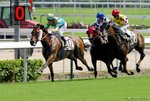 _DSC0320_J_adjusted