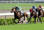 _DSC0323_J_adjusted