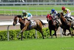 _DSC0324_J_adjusted