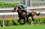 _DSC0325_J_adjusted
