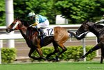 _DSC0326_J_adjusted