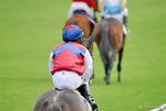 _DSC0367_J_adjusted