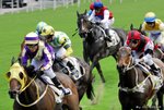 _DSC0398_J_adjusted