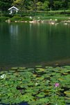 DSC_0576_adjusted
