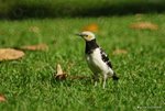 _DSC0121_adjusted