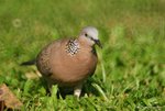 _DSC0163_adjusted