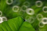 _DSC0202_adjusted