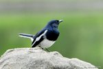 _DSC0084_J_adjusted