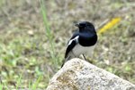 _DSC0124_J_adjusted