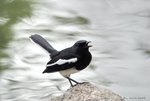 _DSC0125_J_adjusted