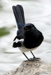 _DSC0154_J_adjusted