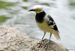 _DSC0216_J_adjusted