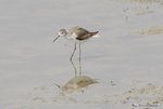 _DSC0077_J_adjusted
