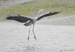 _DSC0108_J_adjusted