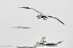 _DSC0284_J_adjusted