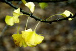 _DSC0163_adjusted