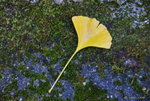 _DSC0198_adjusted
