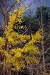 _DSC0210_adjusted
