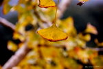 _DSC0219_adjusted