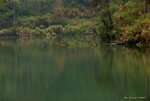_DSC0239_adjusted