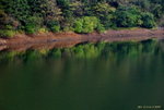 _DSC0497_adjusted